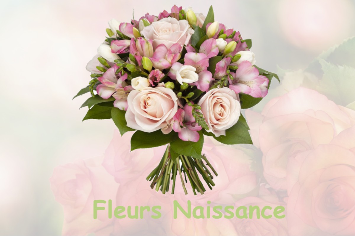 fleurs naissance REVIGNY