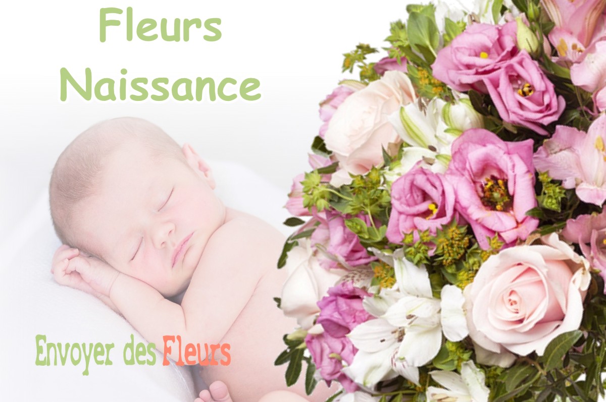 lIVRAISON FLEURS NAISSANCE à REVIGNY